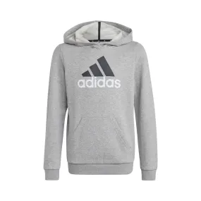 adidas Big Logo 2 Hoody Boys