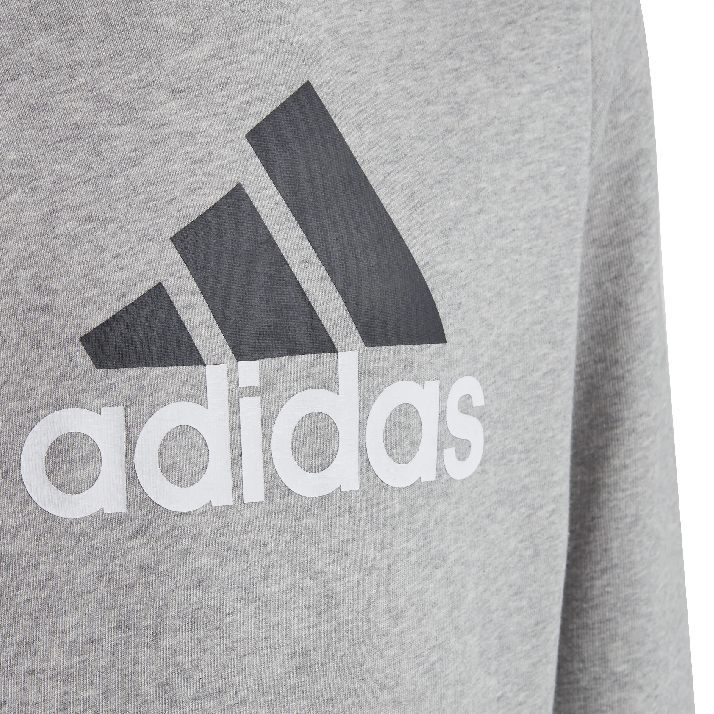 adidas Big Logo 2 Hoody Boys