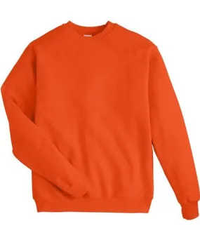 Hanes Men's Ecosmart Crewneck Sweatshirt